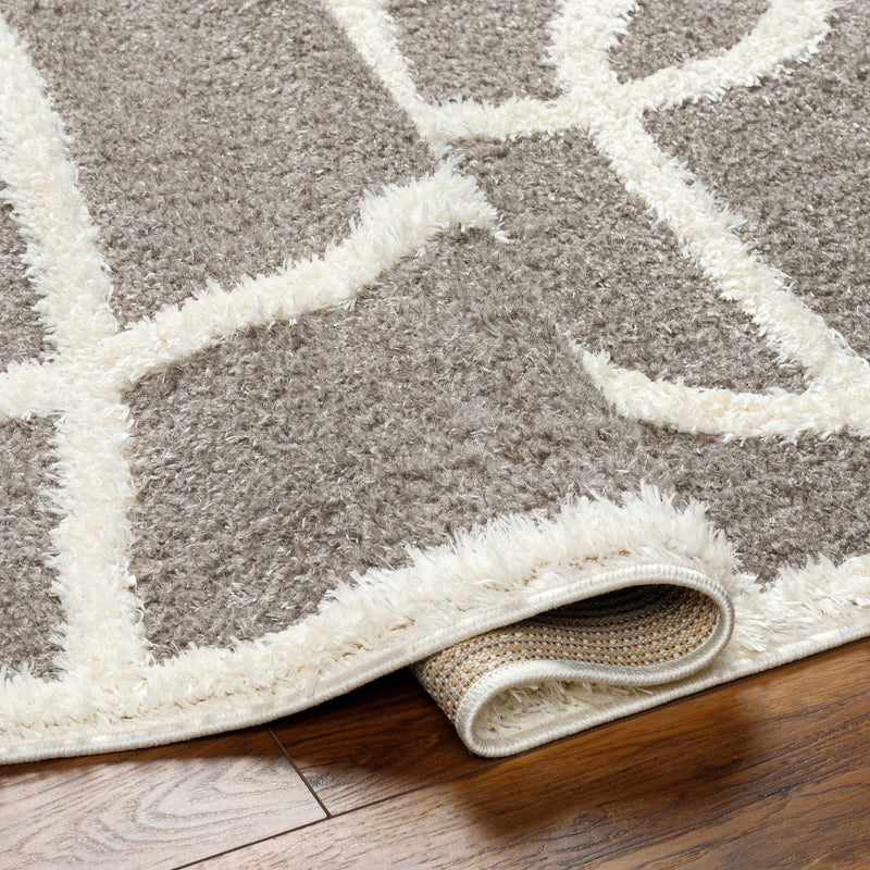 Gilon Taupe Plush Area Rug