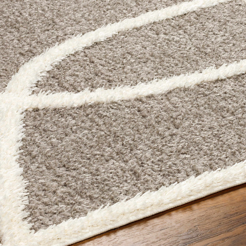 Gilon Taupe Plush Area Rug