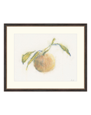 Pastel Orange I