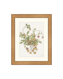 Pastel Apple Branches
