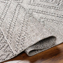 Beige Gray Areli Area Rug