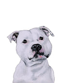 The Staffy - Open Edition Paper Print