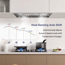 36" Range Hood Insert ,600 CFM Stainless Steel Kitchen Vent Hood with 4 Speeds 3CCT LED Lights