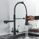 Matte Black Pull-Down Faucet With Filter