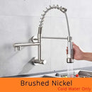 Stainless steel dual spouts kitchen faucet with pull out spray head