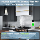 Akicon 30" Stainless Steel Wall Mount Range Hood with 600 CFM Vent Hood