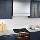 Akicon 36" Stainless Steel Wall Mount Range Hood with 600 CFM Vent Hood