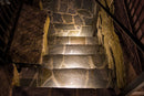 STB14 3000K or 5000K Aluminum LED Retaining Wall Light Low Voltage Hardscape Paver Lighting