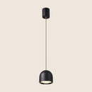 Sterna Pendant Light
