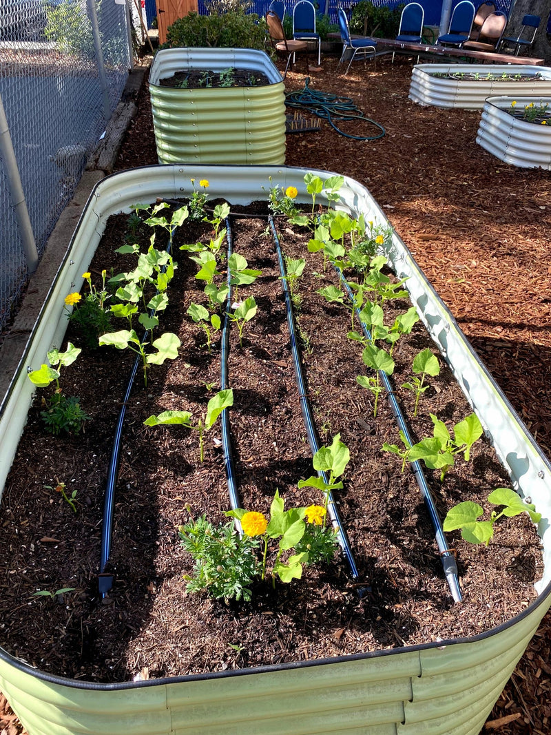 17" Tall, 12-in-1 Metal Raised Garden Bed in Sage Green