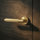 Stron Handle and Lock