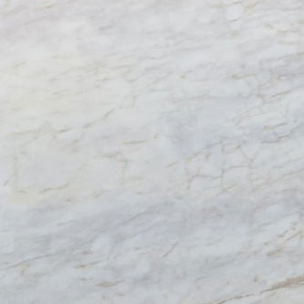 sugar white exotic marble 24x48 polished top single view