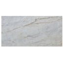 sugar white exotic marble 24x48 polished top single view