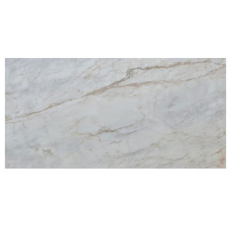 sugar white exotic marble 24x48 polished top single view