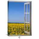 Sunflower Fields Canvas