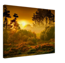 Sunset Forest - Print