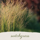 Bird Sanctuary Live Plant Landscape Kit | Prairie Legacy Inc.