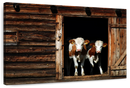 Pair Of Cows Wall Art