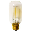 T45 Vintage Edison Light Bulbs