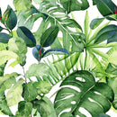 Fashionable Green Monstera Wallpaper Vogue