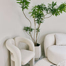 Taos Chair