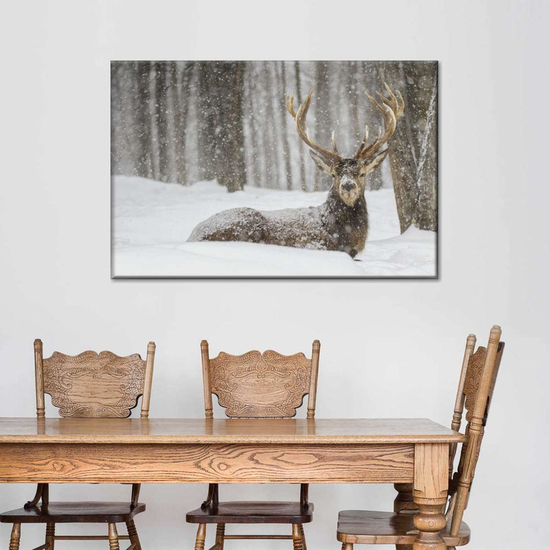 Snow Covered Elk Wall Art