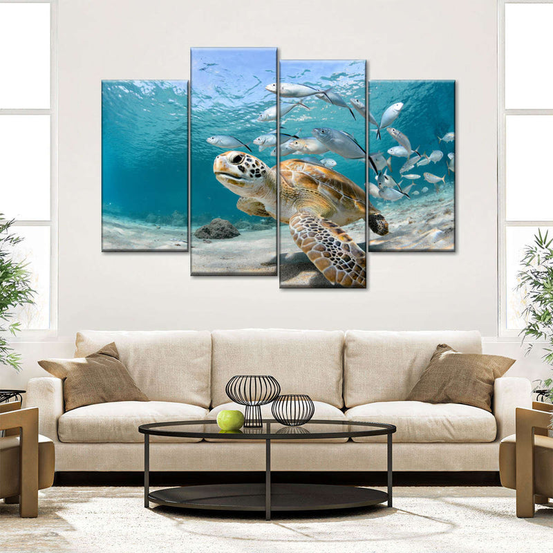 Curacao Fish And Turtle Wall Art