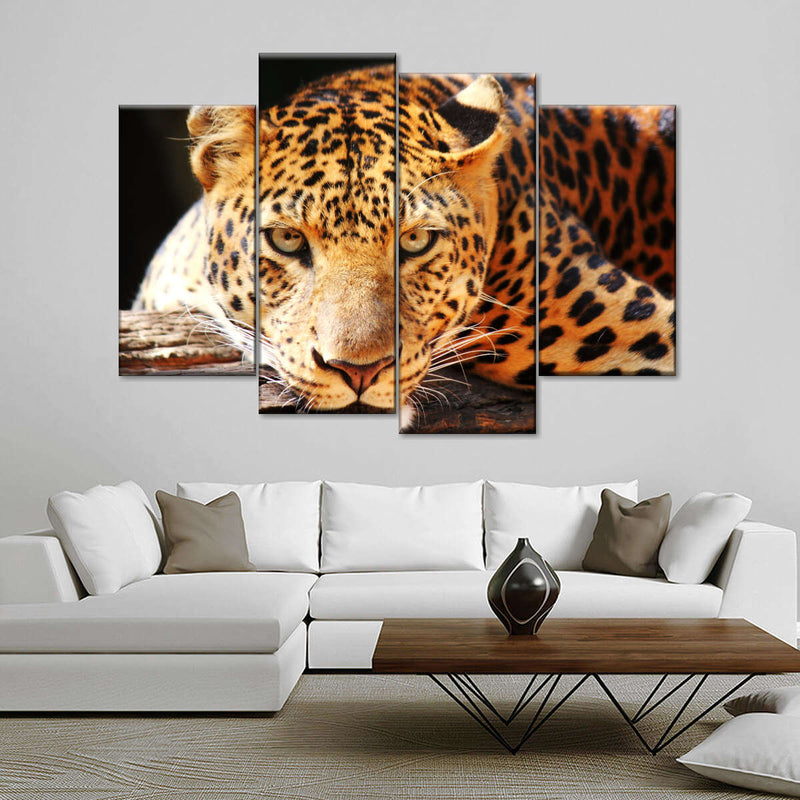 Leopard Gaze Wall Art