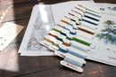 The Birds-Winter B2418L Counted Cross-Stitch Kit