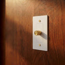 The Brass Dimmer Switch (1 to 5 Gang)