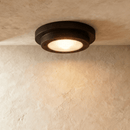 The Brass Ceiling Lamp
