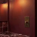 The Brass Dimmer Switch (1 to 5 Gang)