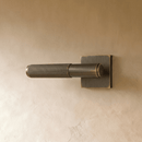 The Brass Door Handle
