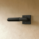 The Brass Door Handle