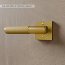 The Brass Door Handle