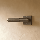 The Brass Door Handle