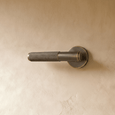 The Brass Door Handle