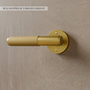 The Brass Door Handle