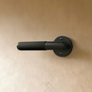 The Brass Door Handle