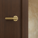The Brass Door Handle