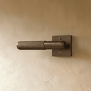 The Brass Door Handle
