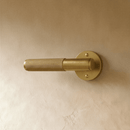 The Brass Door Handle