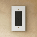 The Brass Ethernet Socket (RJ45) (1-Gang)