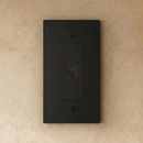 The Brass Ethernet Socket (RJ45) (1-Gang)
