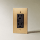 The Brass Outlet (1 to 4 Gang)