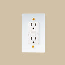 The Brass Outlet (1 to 4 Gang) - Open Box