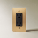 The Brass Outlet (1 to 4 Gang)