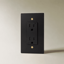The Brass Outlet (1 to 4 Gang)