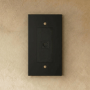 The Brass Telephone Socket (RJ11) (1-Gang)