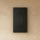 The Brass TV Socket (1-Gang)